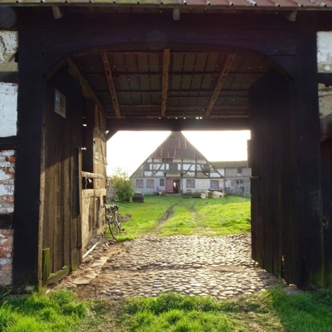 Powiększ obraz: 